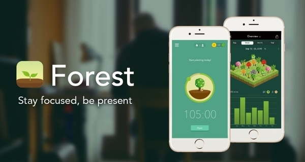 Aplicativo Forest